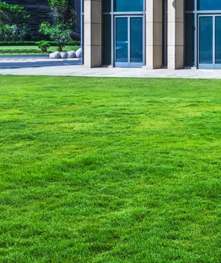 Q & Q's Lawn Care LLC Aeration