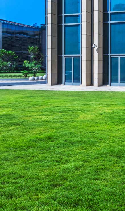 Q & Q's Lawn Care LLC Aeration