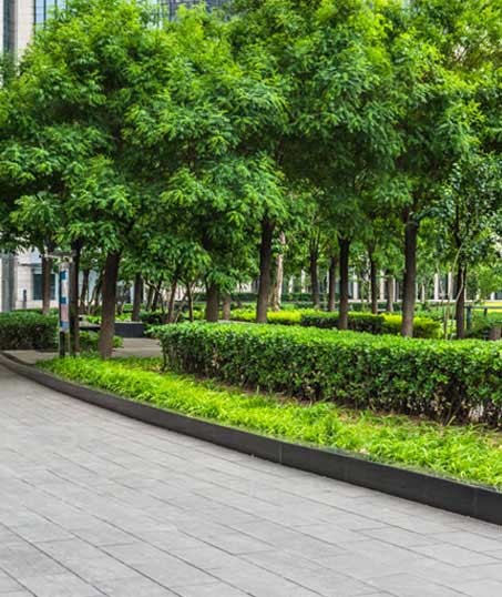 Q & Q's Lawn Care LLC Commercial Grounds Maintenance