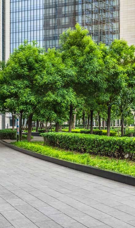 Q & Q's Lawn Care LLC Commercial Grounds Maintenance