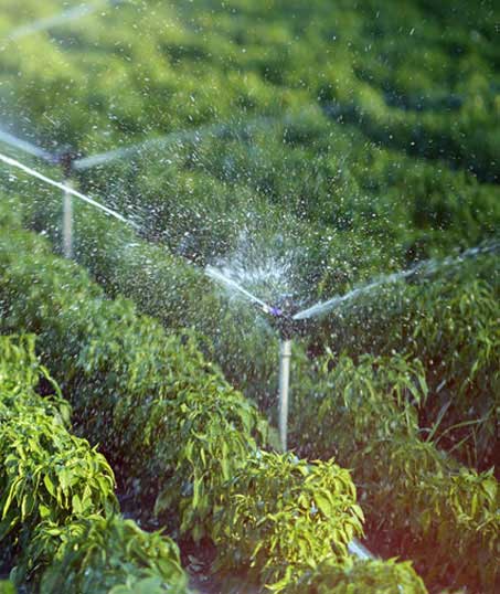 Q & Q's Lawn Care LLC Irrigation System Repair