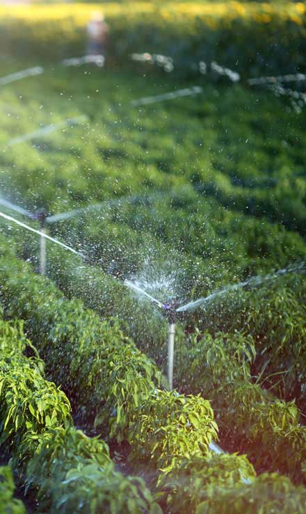 Q & Q's Lawn Care LLC Irrigation System Repair