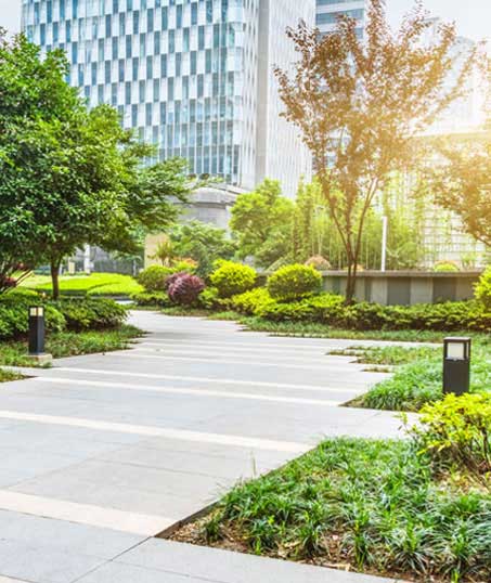 Q & Q's Lawn Care LLC Commercial Landscaping