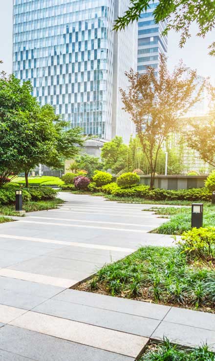 Q & Q's Lawn Care LLC Commercial Landscaping