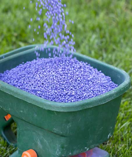 Q & Q's Lawn Care LLC Lawn Fertilization