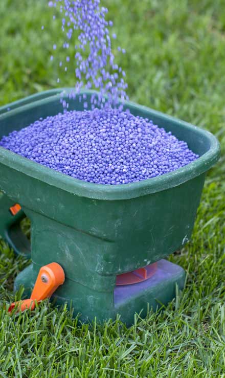 Q & Q's Lawn Care LLC  Lawn Fertilization