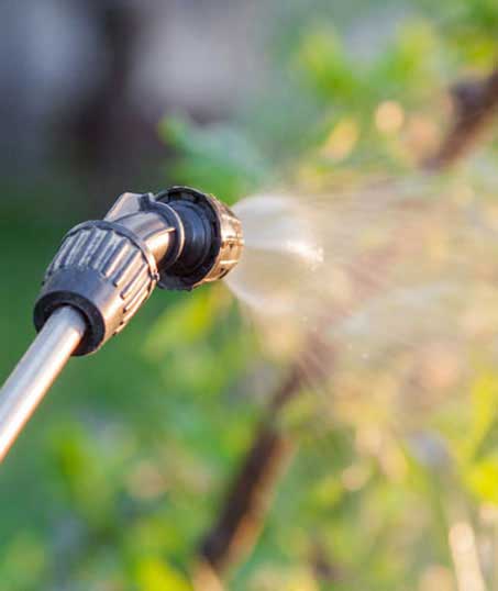 Q & Q's Lawn Care LLC Lawn Pest Control