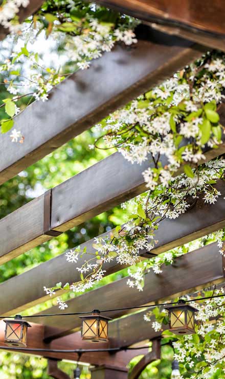 Q & Q's Lawn Care LLC Pergola